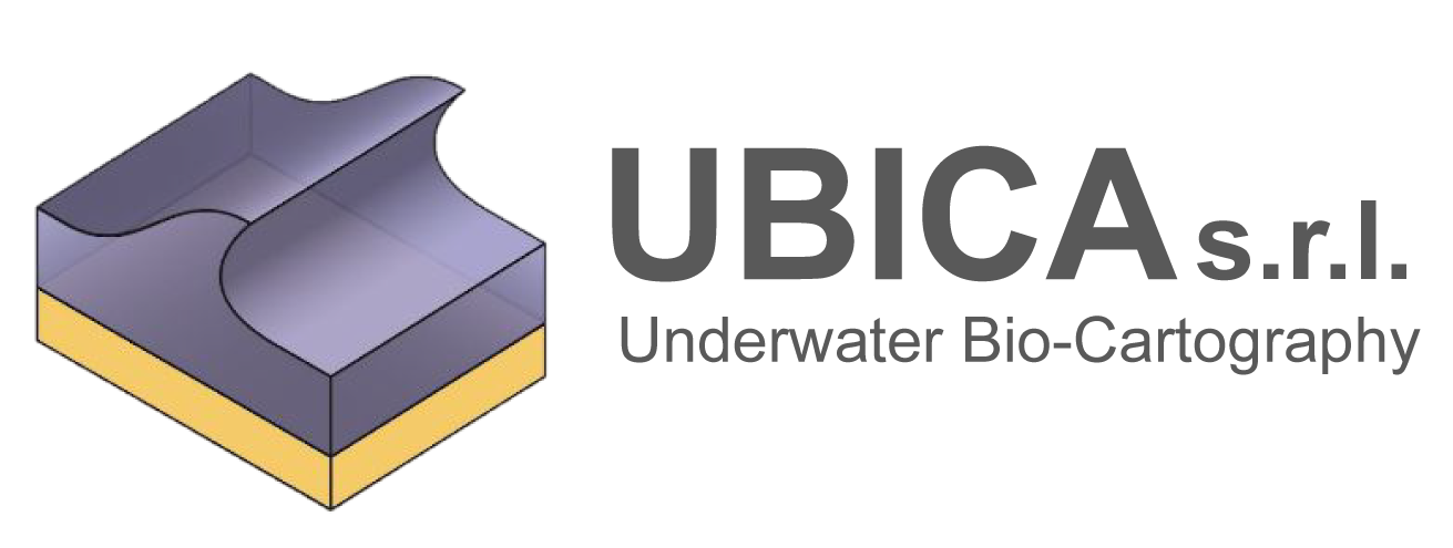 UBICA_logo