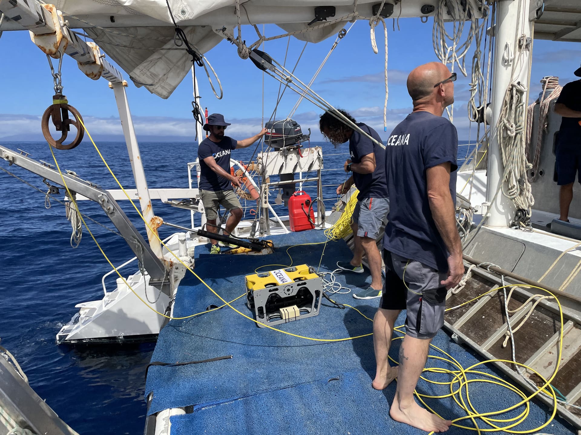 New seabed mapping campaign in Tenerife to identify restoration and ‘donor’ sites