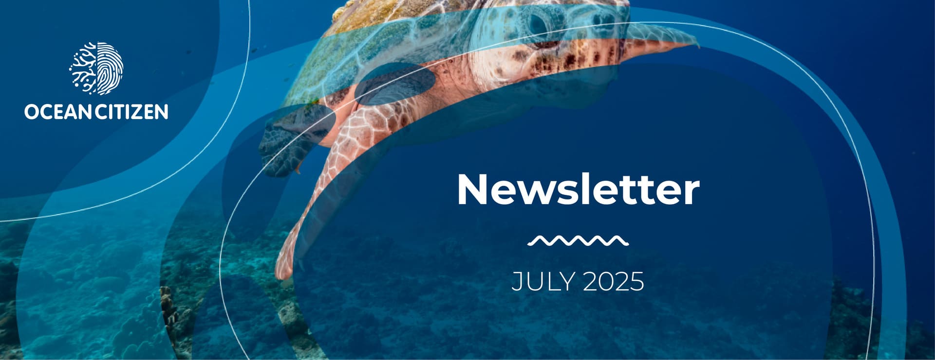 OCEAN CITIZEN 7th Newsletter