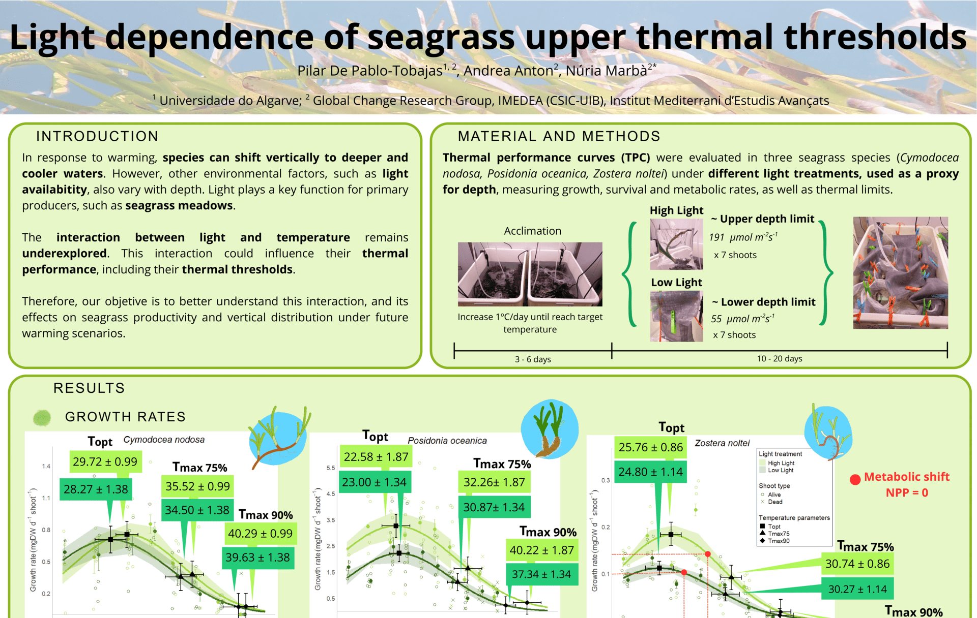 Light-dependence of seagrass performance and upper thermal limits