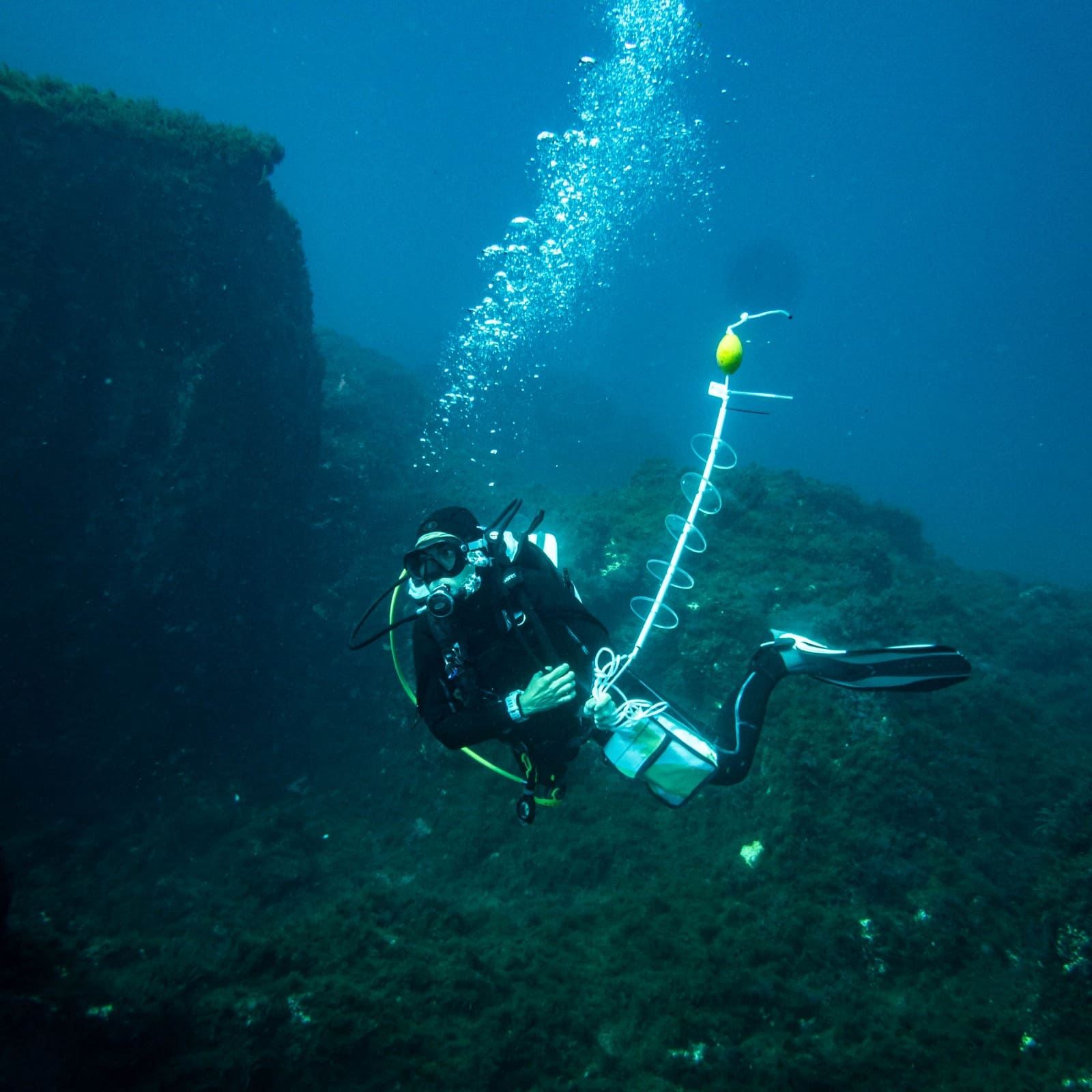 From marine restoration to the classroom: a case study in Tenerife