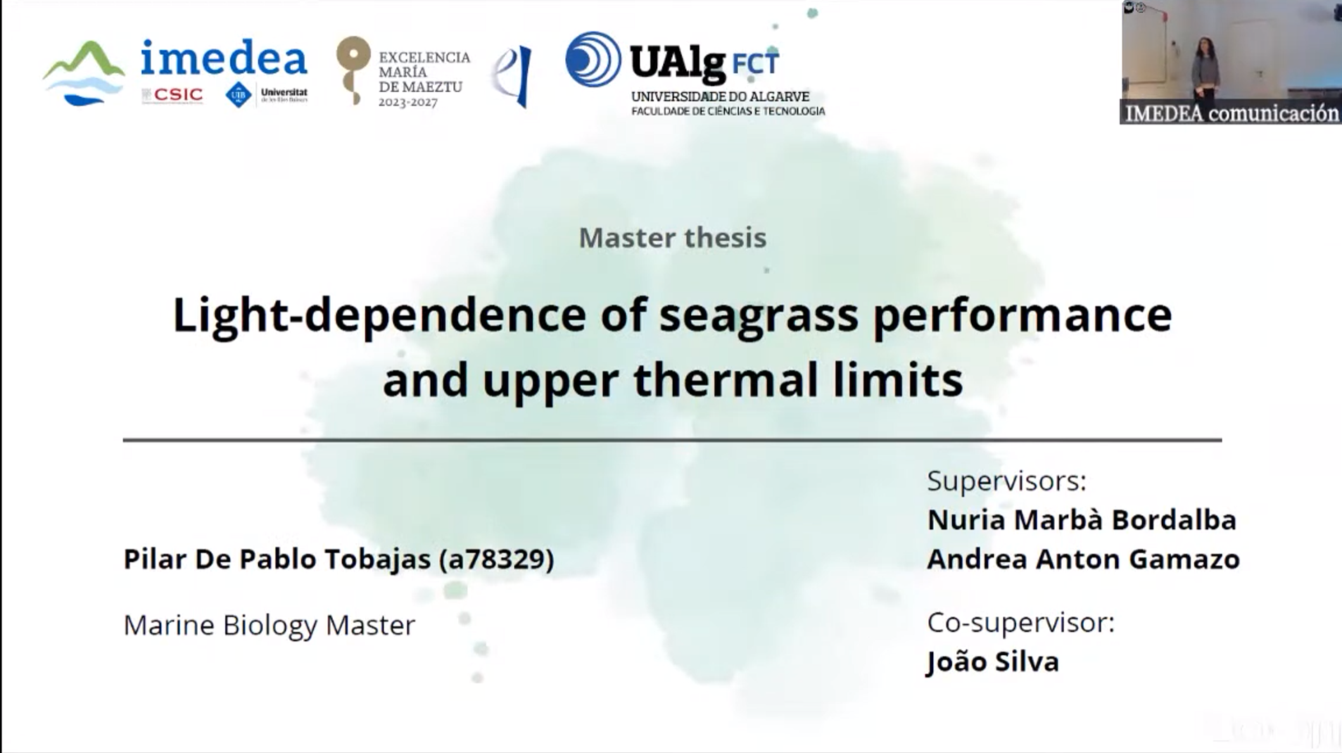 Light dependence of seagrass performance and upper thermal limits