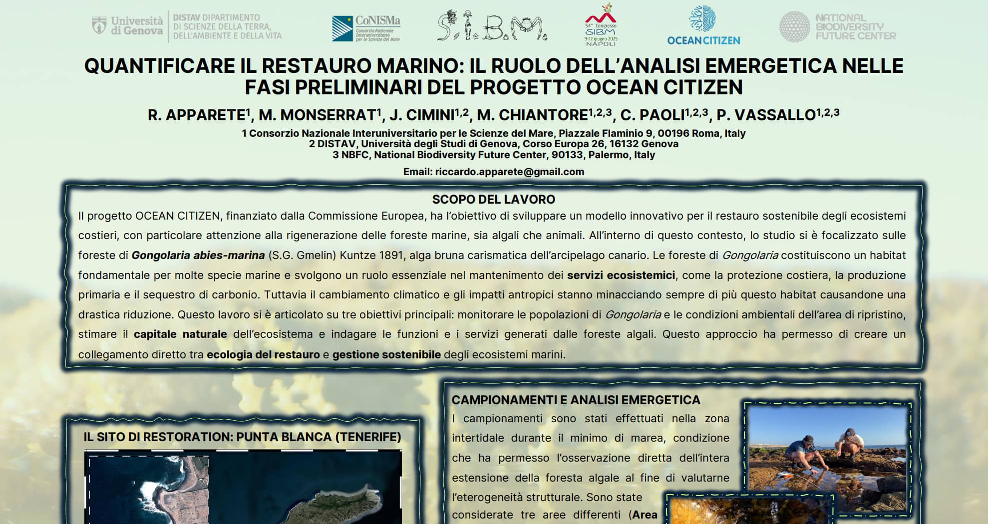 Quantifying Marine Restoration: The role of emergy analysis in he preliminary stages of the OCEAN CITIZEN Project