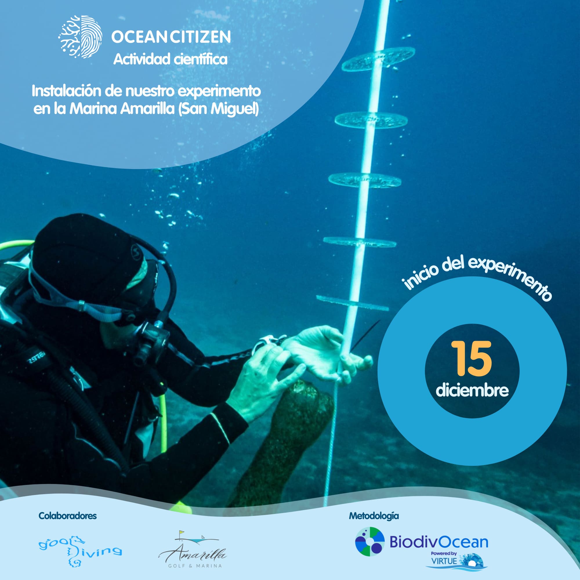 Follow our citizen science study step by step