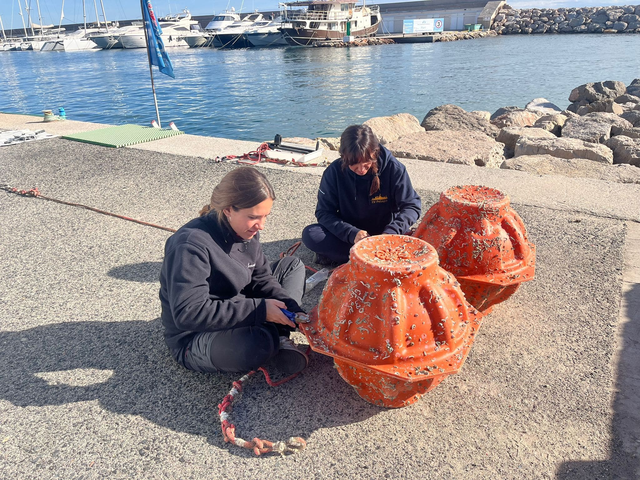 Third research campaign in Torredembarra by the University of Barcelona and UBICA for gorgonian restoration and environmental monitoring