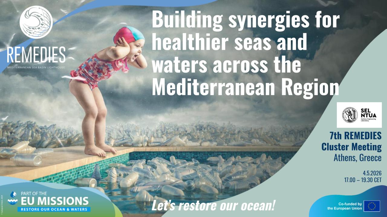 8th REMEDIES Cluster Meeting