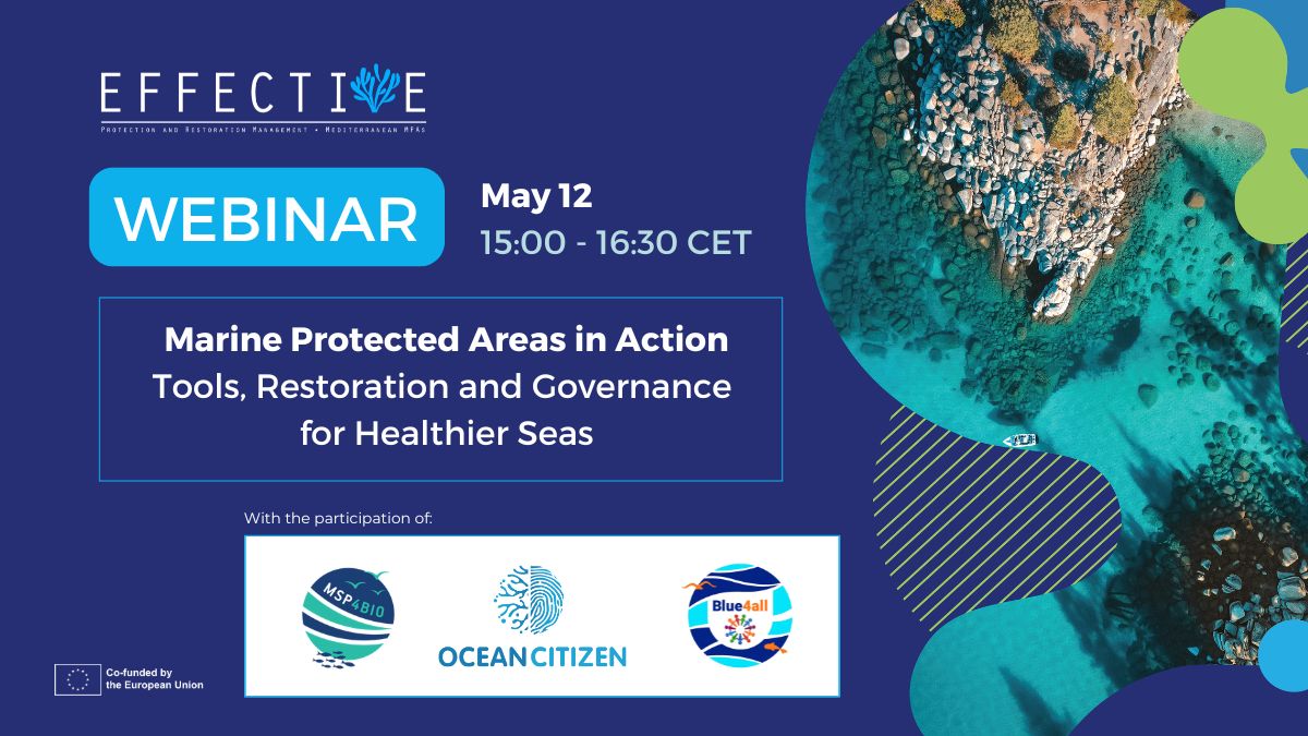 Marine Protected Areas in Action: Tools, Restoration and Governance for Healthier Seas&nbsp;