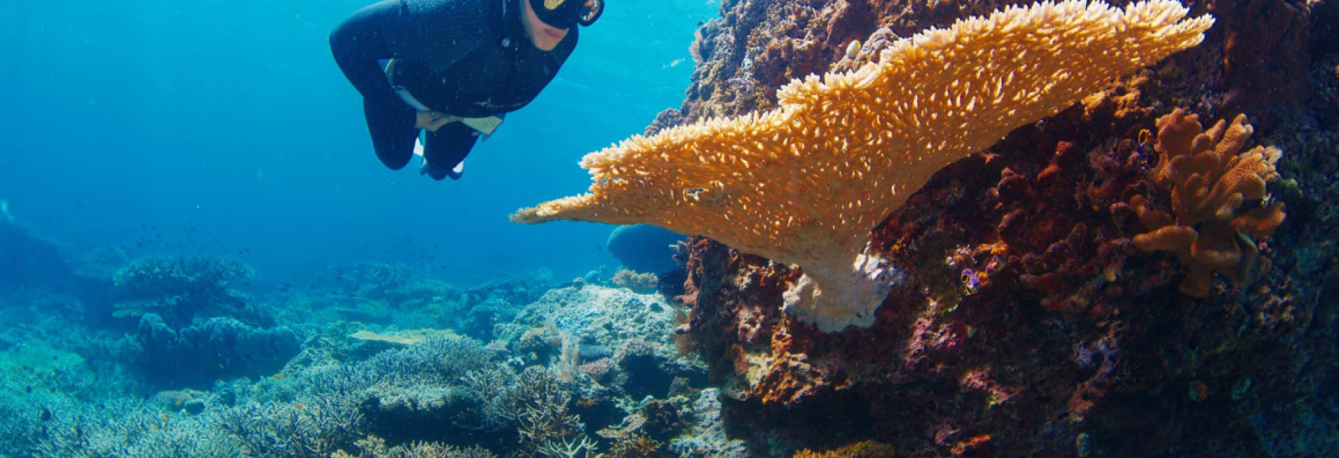 Four Postdoc Fellowships for our Research Hubs