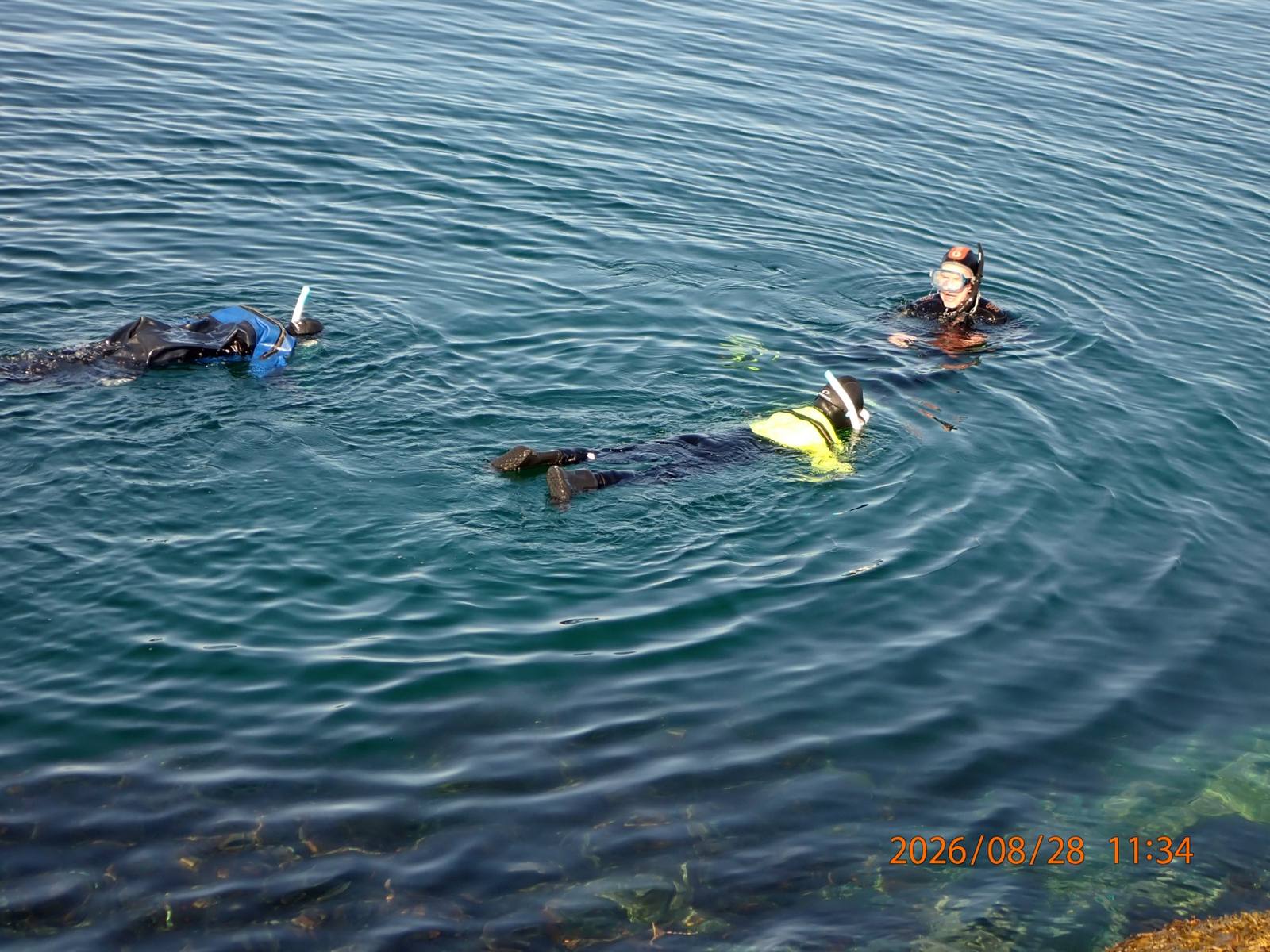 OCEAN CITIZEN brings marine restoration into the classroom in Porsangerfjord