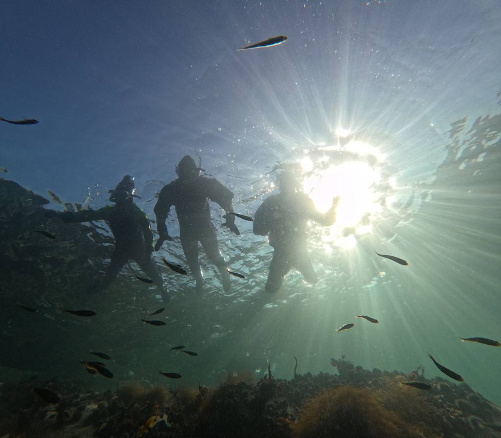 Underwater view of students swimming above the algae-covered seabed with small fish