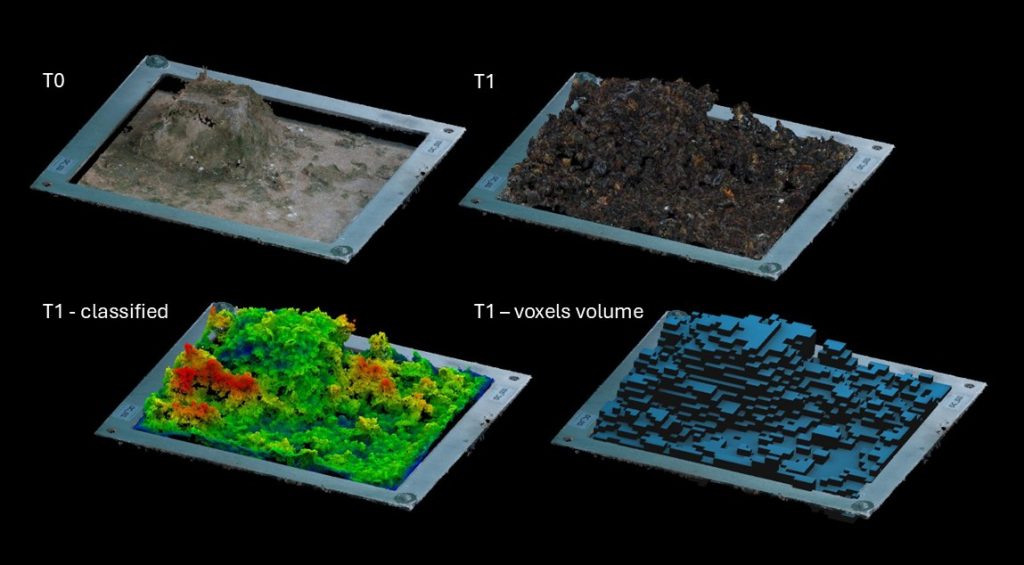 3D models of the reef survey frame at T0 and T1, with classified and voxel volume views